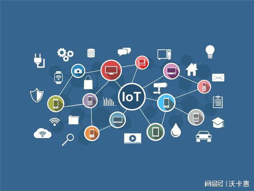 上網(wǎng)貓 物聯(lián)網(wǎng)如何催生更好的網(wǎng)絡技術(shù)服務商業(yè)模式